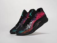 Кроссовки Nike Jordan Zion 3 41/Разноцветный