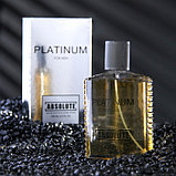 Туалетная вода мужская Absolute Platinum, 100 мл (по мотивам Egoiste Platinum (Chanel), фото 2