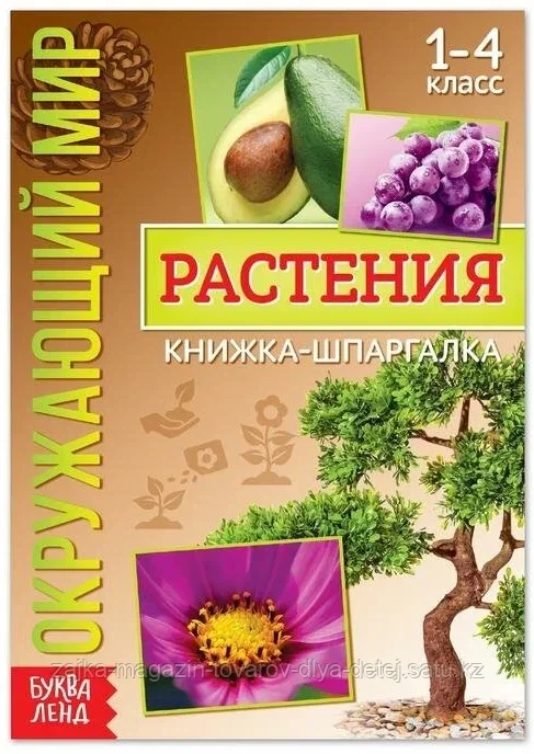 Книжка-шпаргалка «Окружающий мир. Растения», 12 стр.
