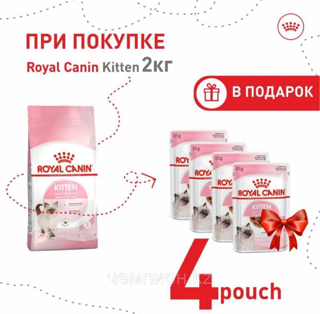 ROYAL CANIN Kitten36, Роял Канин Киттен, корм для котят от 4-х мес, уп.2кг.+4шт.пауч