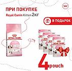 ROYAL CANIN Kitten36, Роял Канин Киттен, корм для котят от 4-х мес, уп.2кг.+4шт.пауч