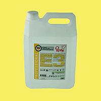 E3 Моющее средство для пароконвектоматов с автоматической системой мойки. Reva Care Professional. Объем 5л