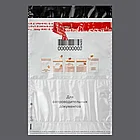Сейф-пакеты почтовые полиэтиленовые (243*320+40мм), до 100 листов формата А4, с пломбой и номером, фото 5