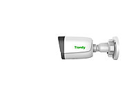 IP-камера Tiandy TC-C32WP Spec:I5W/E/Y/4mm/V4.2 серый