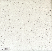 Потолочная плита Армстронг 'Matrix'