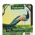 10 вопросов. Животные, фото 7