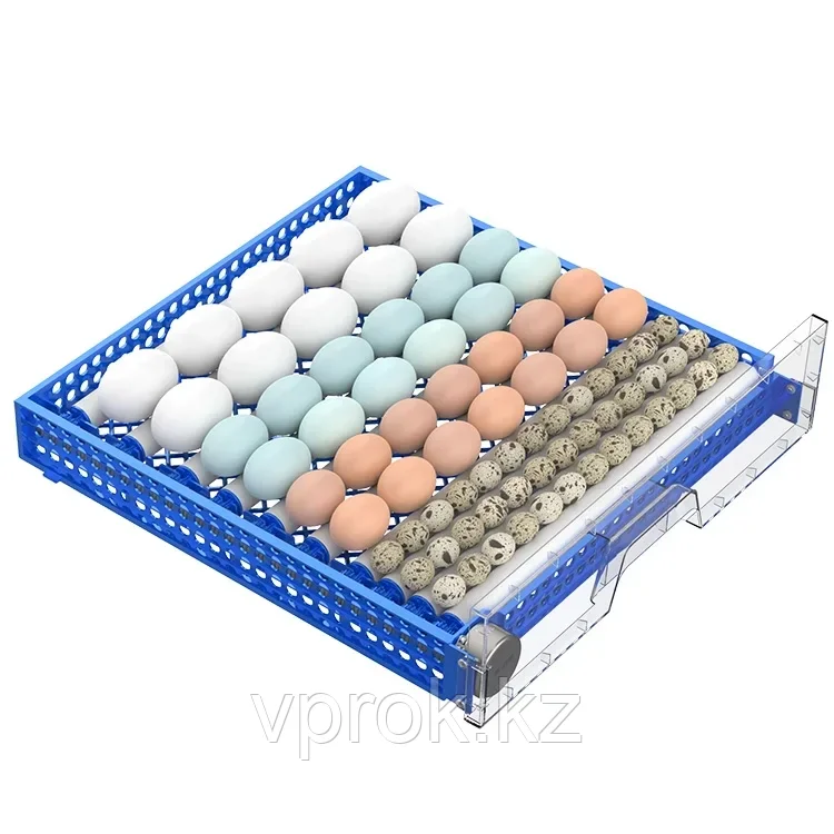 Инкубатор "Сhicken 192" на 192 яйца с функцией автоматического пополнения воды и регулировкой роликов - фото 6 - id-p116371786