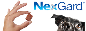 NexGard SPECTRA, НексгарД Спектра для собак