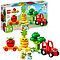 10982 Lego DUPLO Фруктово-овощной трактор, Лего Дупло, фото 2