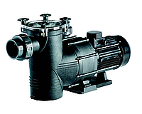 Электронасос с самозаливкой для бассейнов с префильтром IML Big Discovery 3,00 HP III IE2 Motor Арт DY350T-M