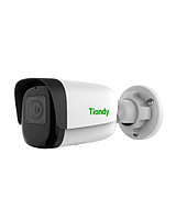 IP-камера Tiandy TC-C35WS белый