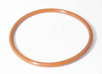 Уплотнительное кольцо системы сгорания (E1118)