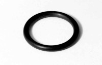 Уплотнительное кольцо для автосамплера MAS200R (E1158) - фото 1 - id-p116409386