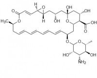 Пимарицин (натамицин) 50 мг, > 99% (OP143-50)