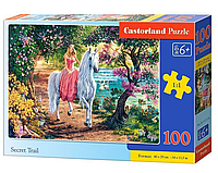 Castorland: Пазлы Тайные тропы, 100 дет.