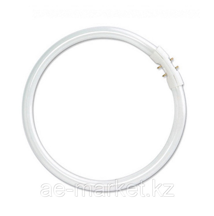 L32/827 C G10q кругл T8 OSRAM (12)!!!