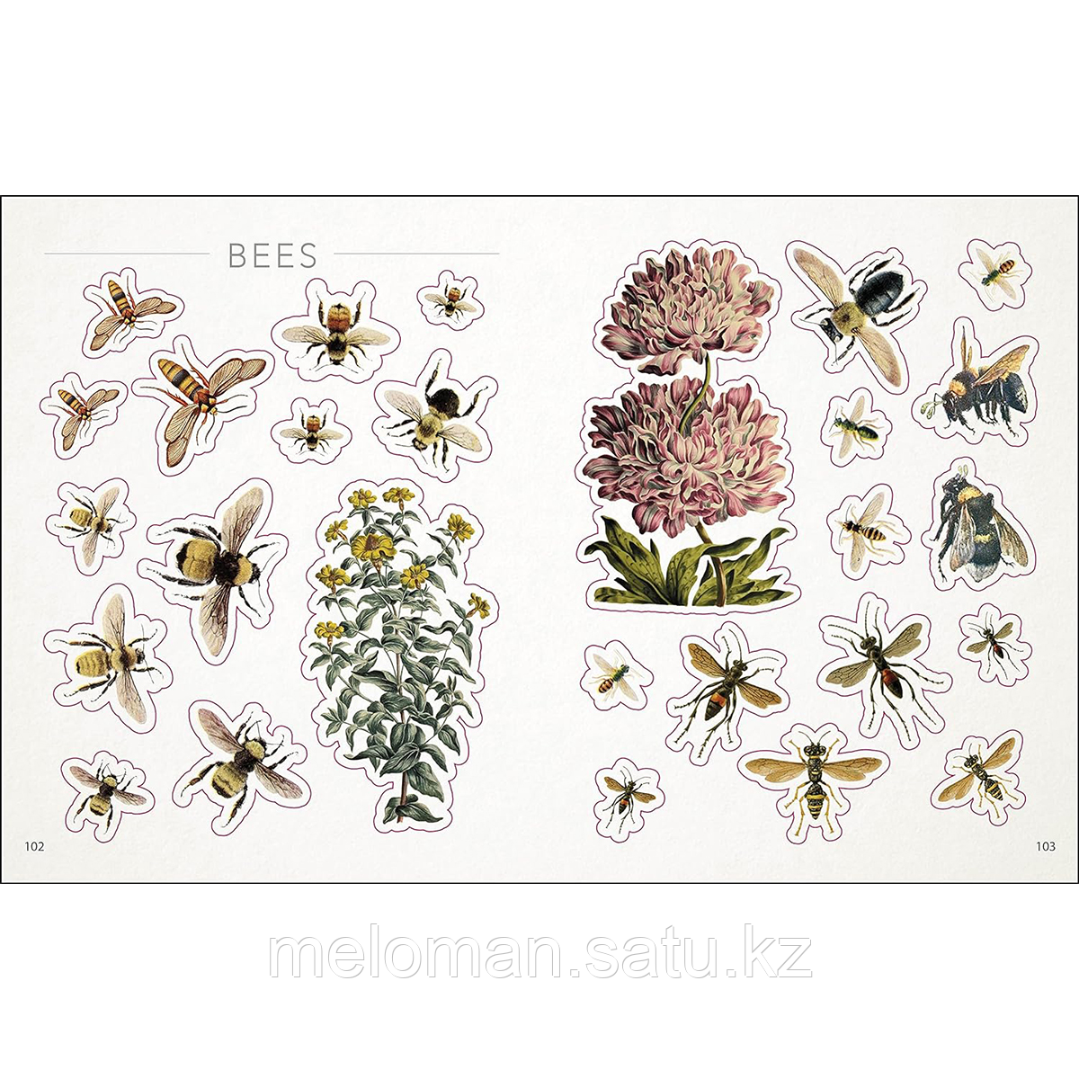 Bees, birds & butterflies sticker anthology - фото 7 - id-p116427784