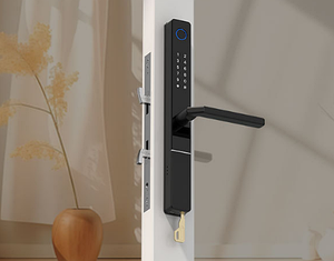 Умный замок Tuya на русском языке для узкого профиля