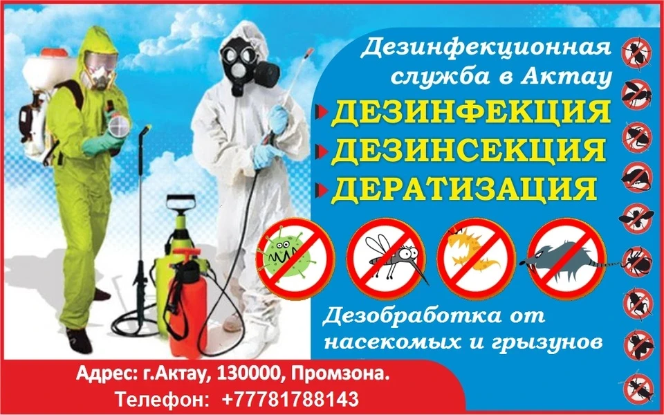 Дезинфекция тараканов в Актау, фото 1