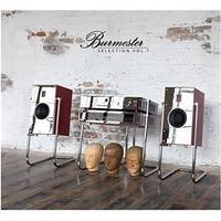 In-akustik GmbH and Co. inakustik Виниловая пластинка Burmester Selection, Vol. 1 (2LP) EAN:0707787780414