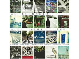 In-akustik GmbH and Co. inakustik Виниловая пластинка Meola,Al Di: All Your Life (2 LP) EAN:0707787912815