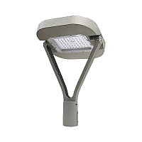 LED ДТУ FOREST 100W 12000LM D300x440 5000K IP65 MEGALIGHT