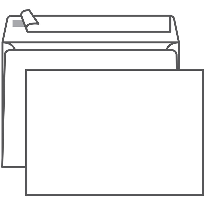 Конверт C5, Ряжская печатная фабрика, 162*229мм, б/подсказа, б/окна, отр. лента - фото 1 - id-p116457355