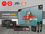 Караоке комплект Karaoke Gold. Оригинал. Гарантия., фото 2