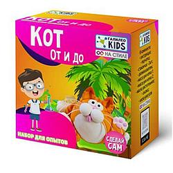 Галилео Kids Набор для Опытов Кот От и До