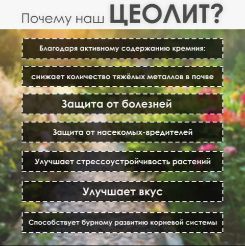 Коробка 33 кг. Цеолит для деревьев и саженцев, удобрение 1 л, 5-15 мм - фото 5 - id-p116465950