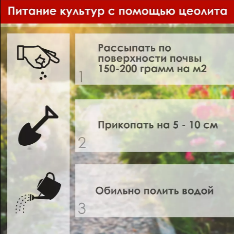 Коробка 8 шт. Цеолит для клубники, удобрение, 5 л, 3 кг, фракция 3-5 - фото 3 - id-p116491840