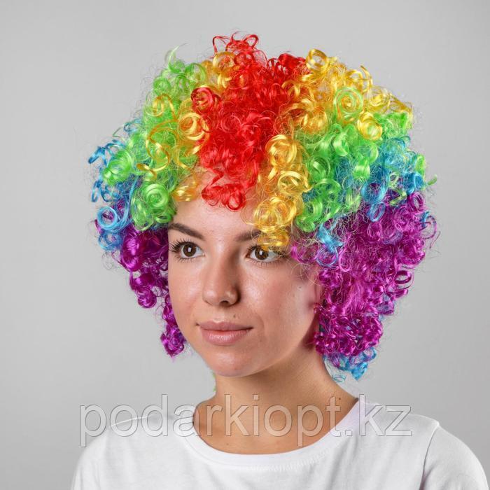Карнавальный парик «Объём», цветные кудри, 120 г - фото 1 - id-p116256050