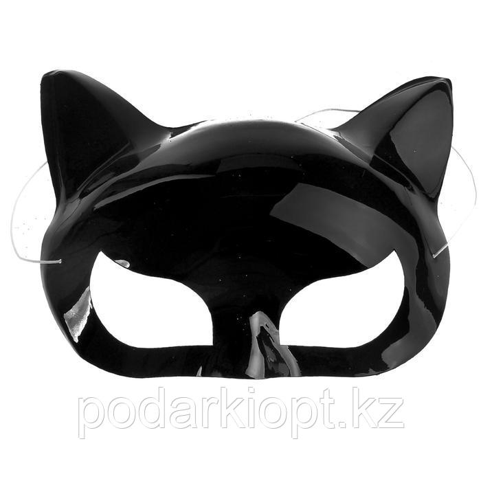 Карнавальная маска «Пантера», набор 6 шт. - фото 1 - id-p116256220