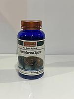 Ганодерма ( Ganoderma Spore ) при профилактике раковых заболеваний, сдерживает развитие раковых клеток предохр