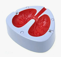 Кашляющая пепельница