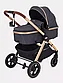 Коляска-трансформер RANT Roller GOLD, grey, фото 3