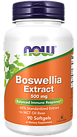 Boswellia Extract 500 mg, 90 softgels, NOW