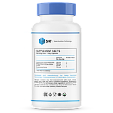 БАД Brain Support - Ginkgo Biloba 120 mg, 100 veg.caps, SNT, фото 2