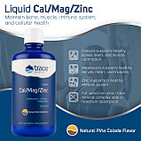 Liquid Cal/Mag/Zinc, 473 ml, Trace minerals Pina colada, фото 2