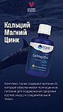 Liquid Cal/Mag/Zinc, 473 ml, Trace minerals Pina colada, фото 4