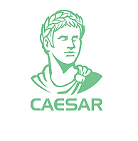 Caesar Ral 0N925 Antique P41772 ұнтақ бояуы