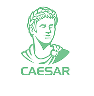 Caesar Ral 0W877 Antique P41591 ұнтақ бояуы