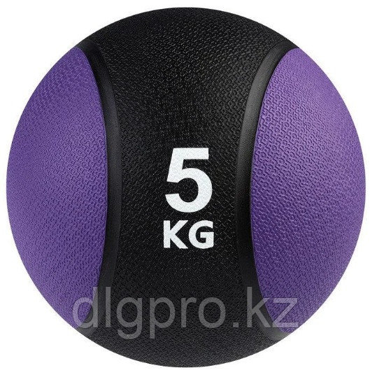 Медицинбол (медбол) Profi 5 кг