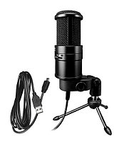 Микрофон Takstar PC-K220USB черный
