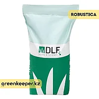 Газон Робустика (Robusitca) DLF