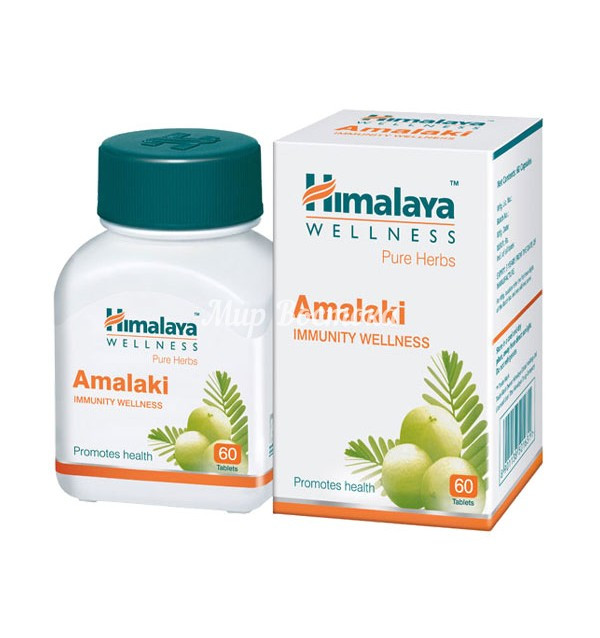 Препарат для повышения иммунитета Amalaki [Амалаки] Himalaya (60 таблеток, Индия) - фото 1 - id-p116594945