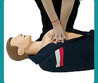 Анатомические модели муляжи человека для обучения СЛР прием геймлиха дефибриляция