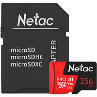 Netac P500 Extreme Pro 256GB 100MB/s Class 10 + SD Adapter флеш (flash) карты (NT02P500PRO-256G-R)