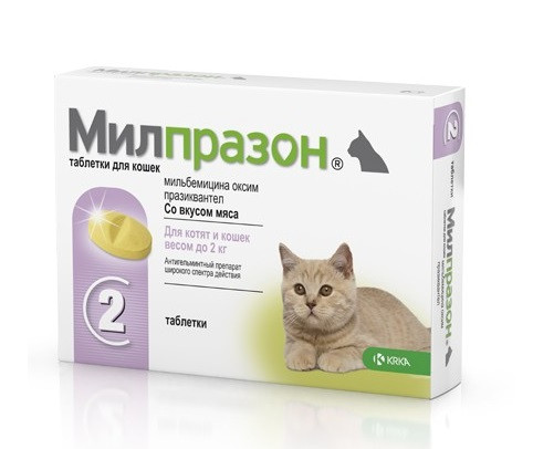 Милпразон для котят и кошек весом до 2 кг - фото 1 - id-p116617952