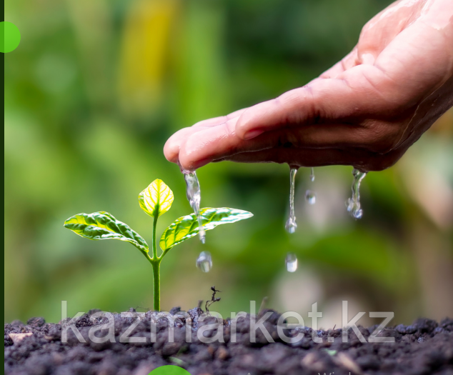 Озеленение в Астане